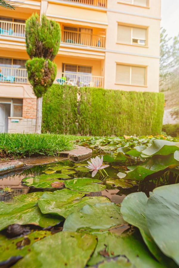 El Oasis *