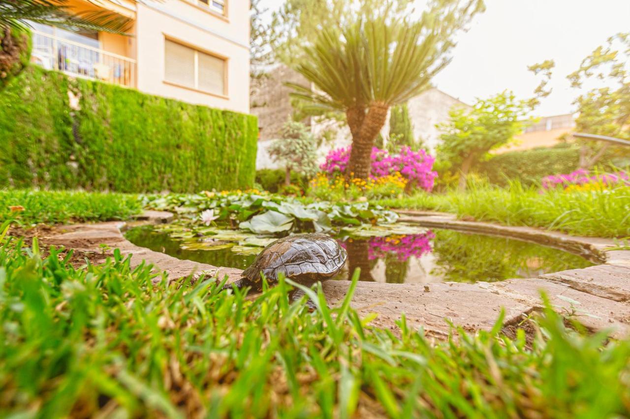 Apartamento El Oasis